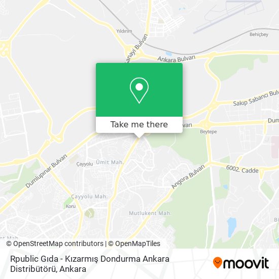 Rpublic Gıda - Kızarmış Dondurma Ankara Distribütörü map
