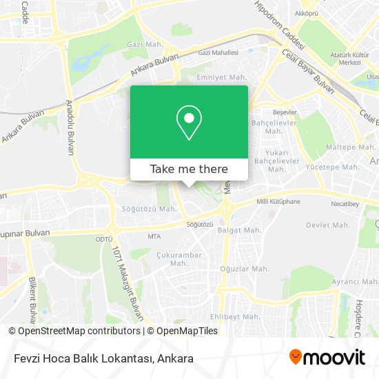 Fevzi Hoca Balık Lokantası map