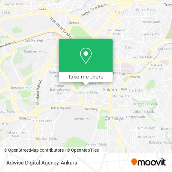 Adwise Digital Agency map