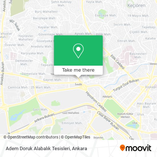 Adem Doruk Alabalık Tesisleri map