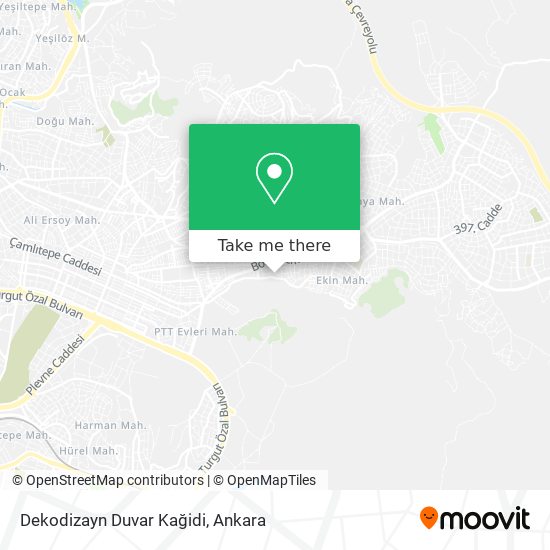 Dekodizayn Duvar Kağidi map
