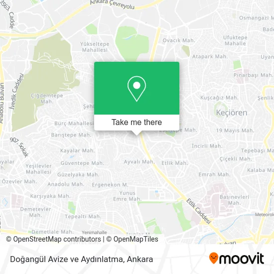 Doğangül Avize ve Aydınlatma map