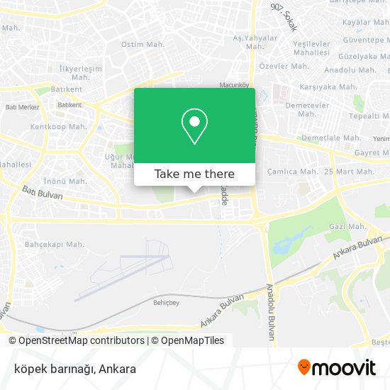 köpek barınağı map