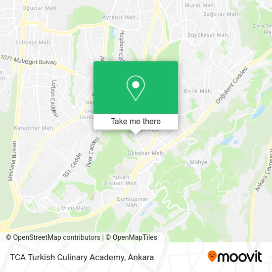 TCA Turkish Culinary Academy map