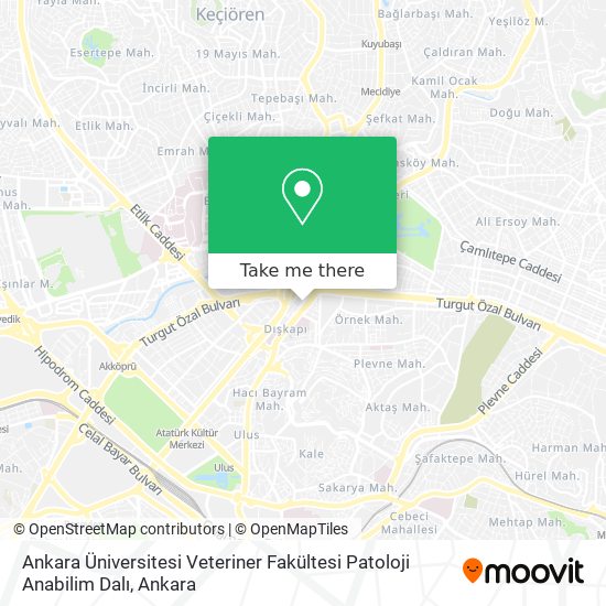 Ankara Üniversitesi Veteriner Fakültesi Patoloji Anabilim Dalı map