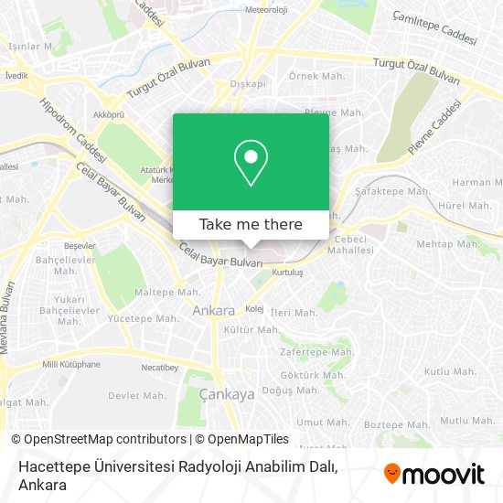 Hacettepe Üniversitesi Radyoloji Anabilim Dalı map