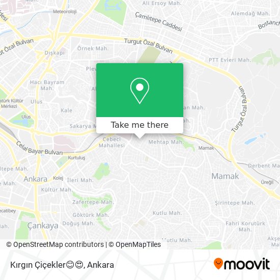 Kırgın Çiçekler😊😍 map