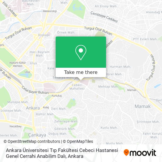 Ankara Üniversitesi Tıp Fakültesi Cebeci Hastanesi Genel Cerrahi Anabilim Dalı map