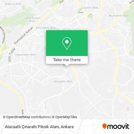 Alacaatlı Çınaraltı Piknik Alanı map