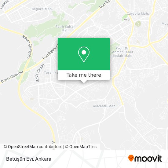 Betüşün Evi map