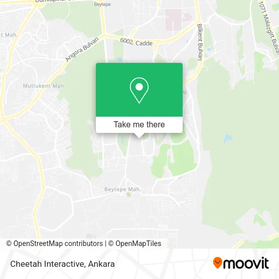 Cheetah Interactive map