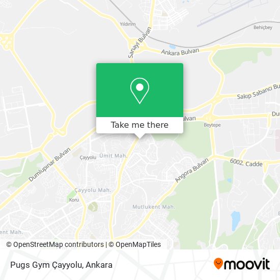 Pugs Gym Çayyolu map