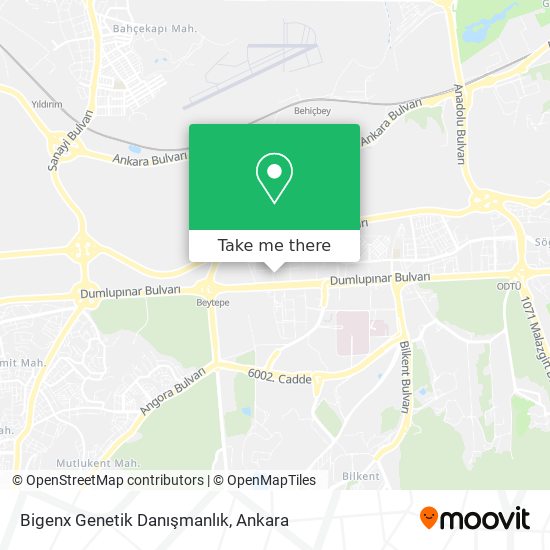 Bigenx Genetik Danışmanlık map