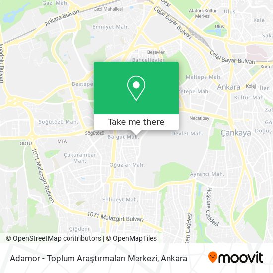 Adamor - Toplum Araştırmaları Merkezi map