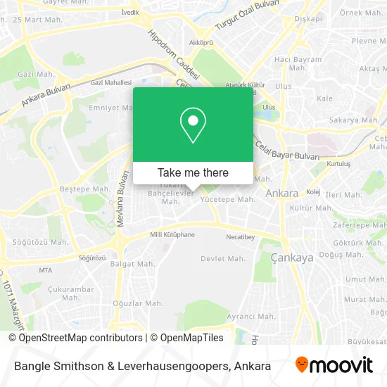 Bangle Smithson & Leverhausengoopers map