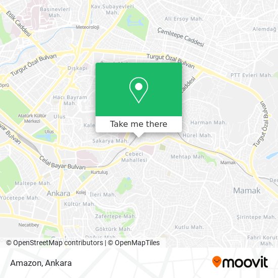 Amazon map