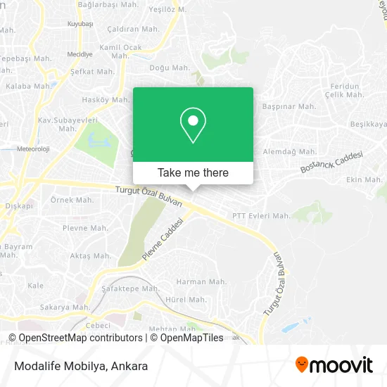 Modalife Mobilya map