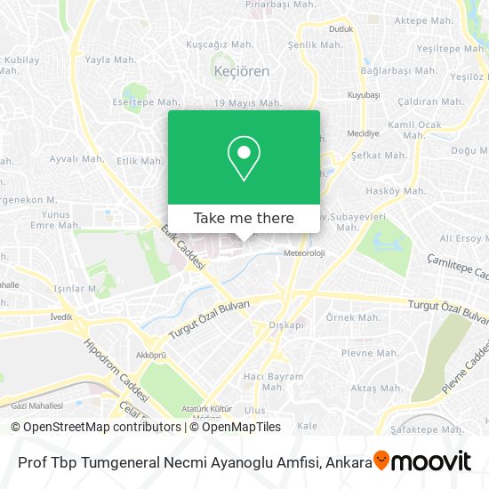 Prof Tbp Tumgeneral Necmi Ayanoglu Amfisi map