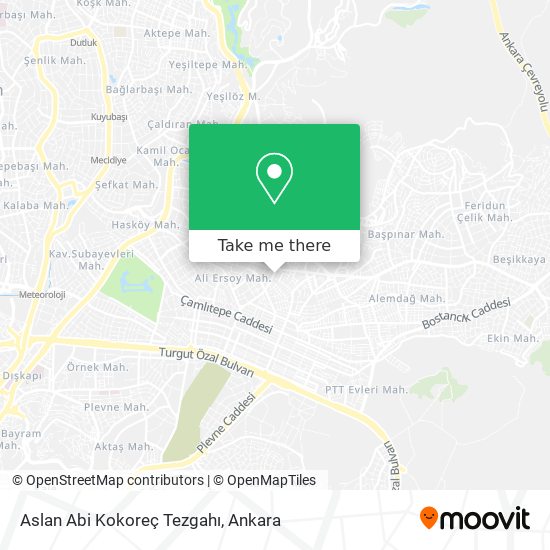Aslan Abi Kokoreç Tezgahı map