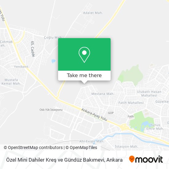 Özel Mini Dahiler Kreş ve Gündüz Bakımevi map
