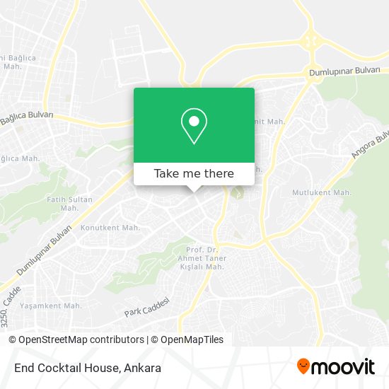 End Cocktaıl House map