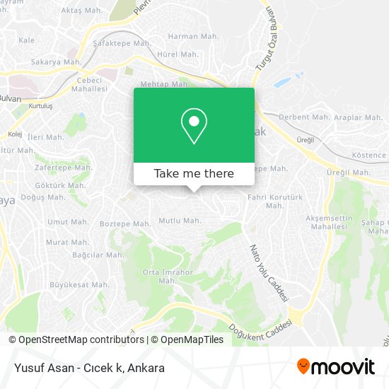 Yusuf Asan - Cıcek k map