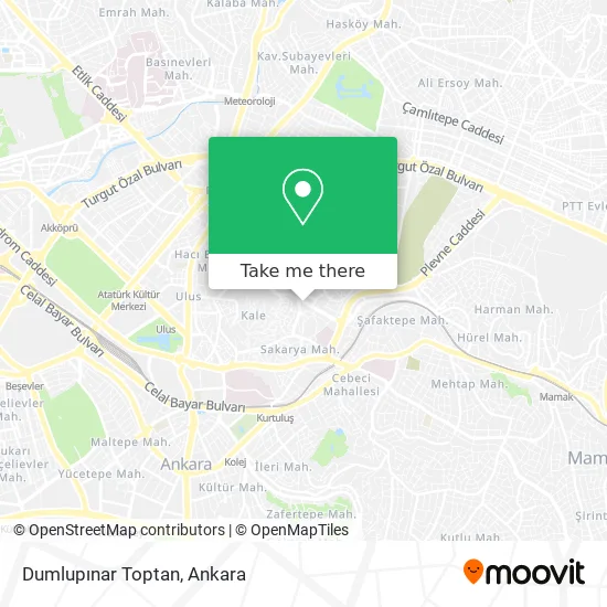 Dumlupınar Toptan map