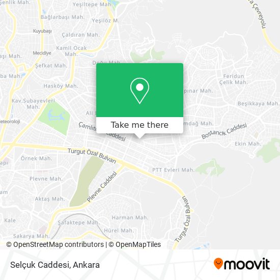 Selçuk Caddesi map