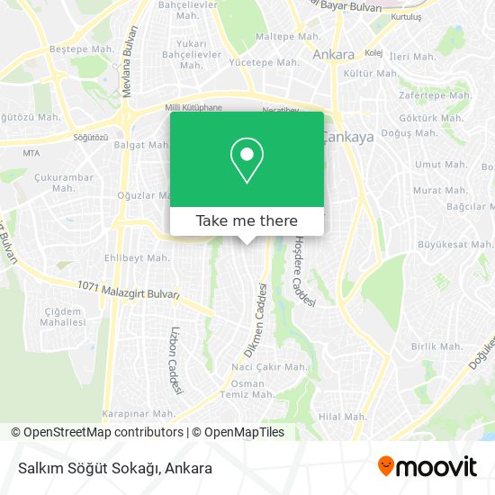 Salkım Söğüt Sokağı map