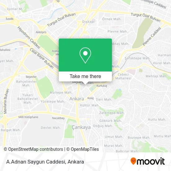 A.Adnan Saygun Caddesi map