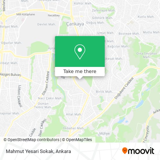 Mahmut Yesari Sokak map