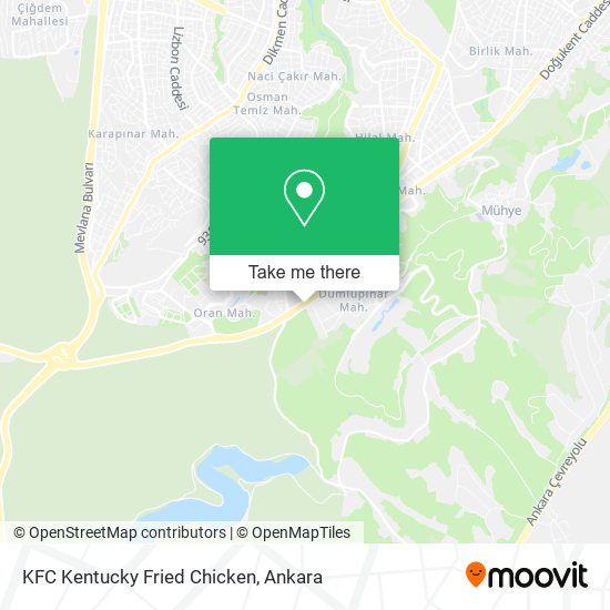 KFC Kentucky Fried Chicken map