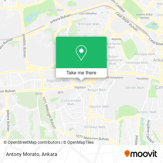 Antony Morato map