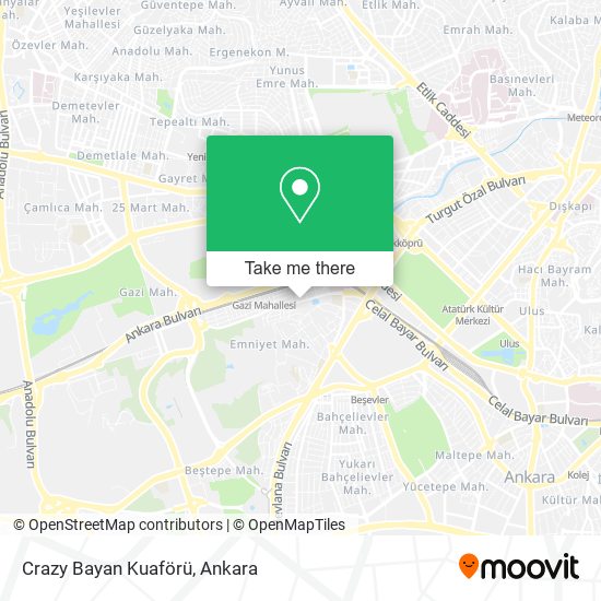 Crazy Bayan Kuaförü map
