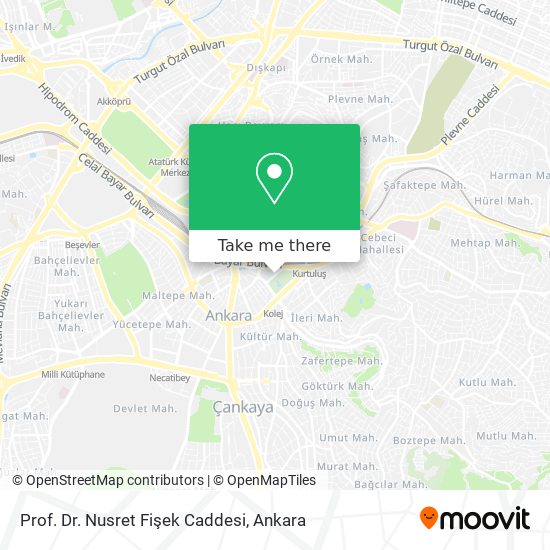 Prof. Dr. Nusret Fişek Caddesi map