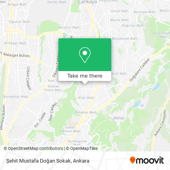Şehit Mustafa Doğan Sokak map