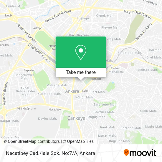 Necatibey Cad. / lale Sok. No:7 / A map