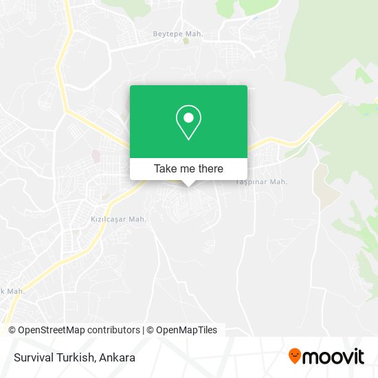 Survival Turkish map