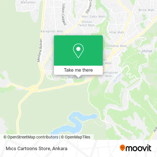 Mıcs Cartoons Store map