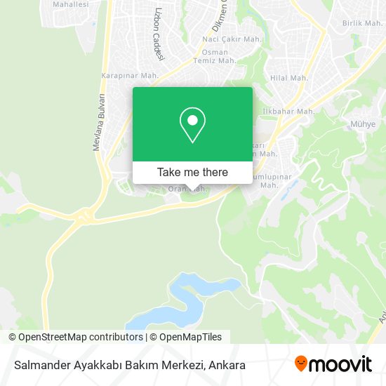 Salmander Ayakkabı Bakım Merkezi map