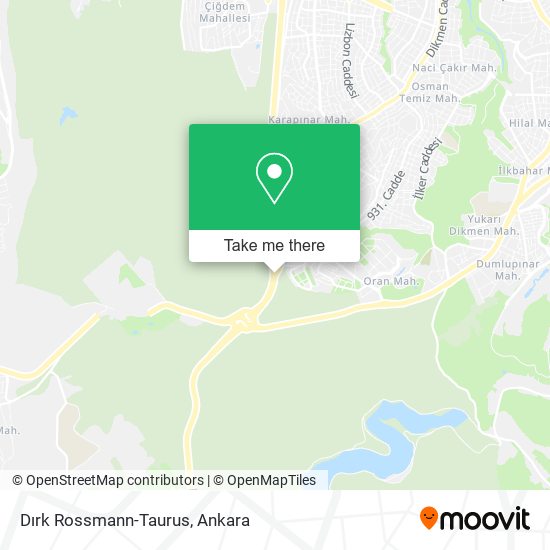 Dırk Rossmann-Taurus map