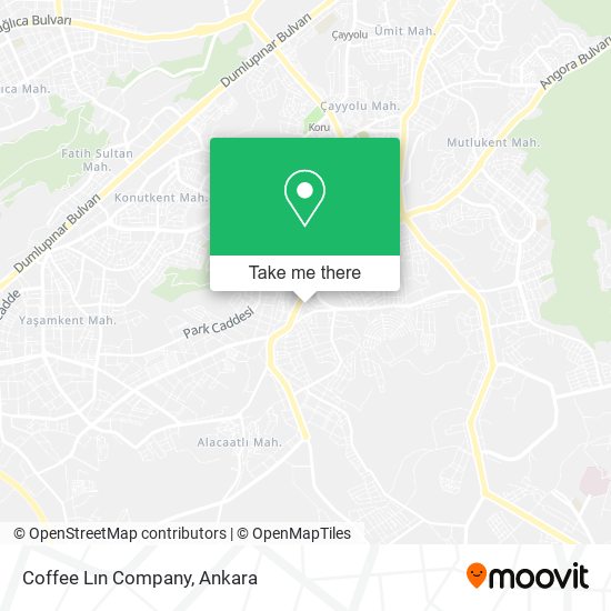 Coffee Lın Company map