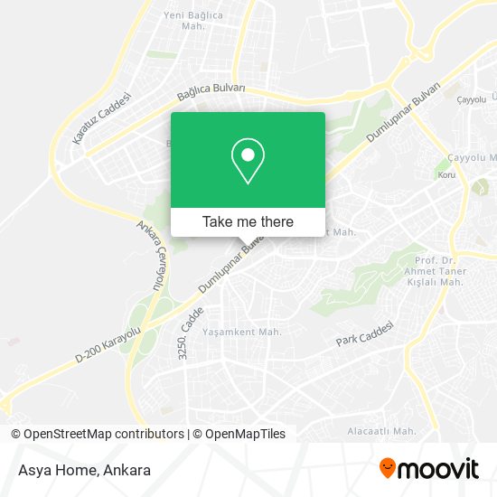 Asya Home map