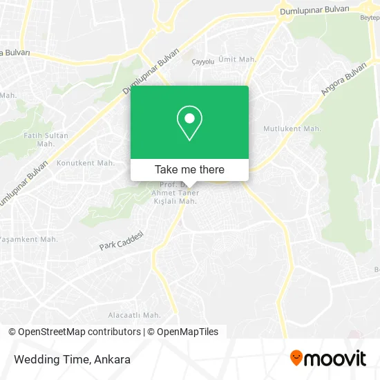 Wedding Time map