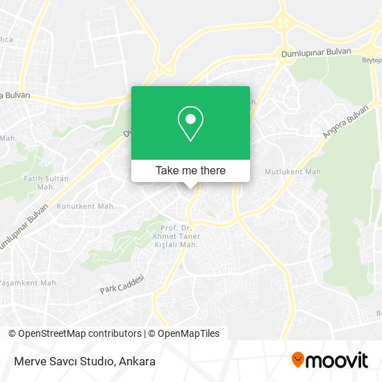 Merve Savcı Studıo map