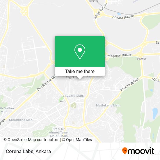 Corena Labs map