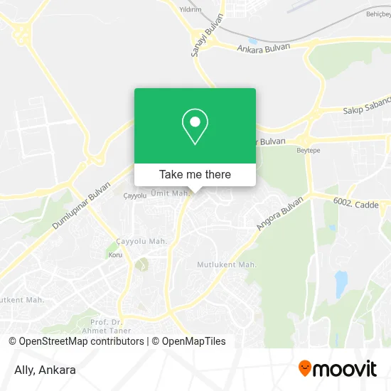 Ally map