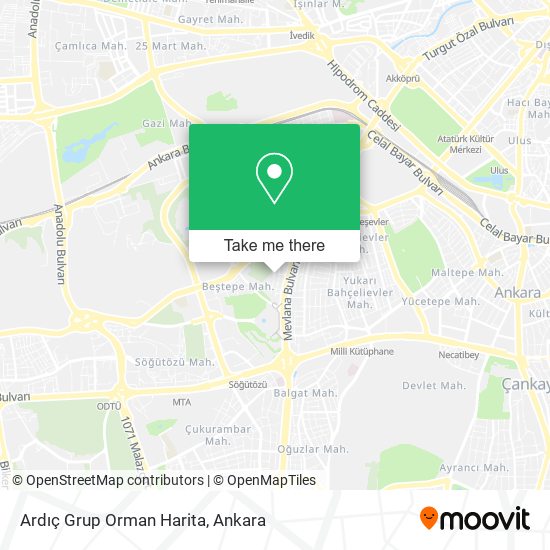 Ardıç Grup Orman Harita map