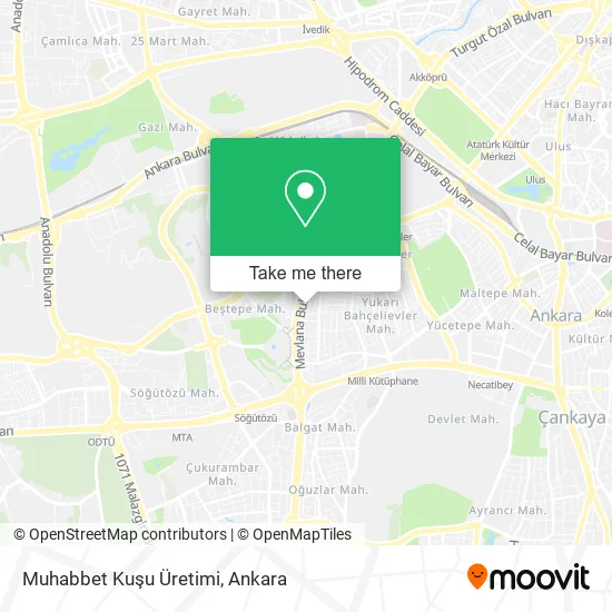Muhabbet Kuşu Üretimi map