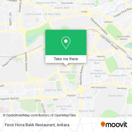 Fevzi Hoca Balık Restaurant map